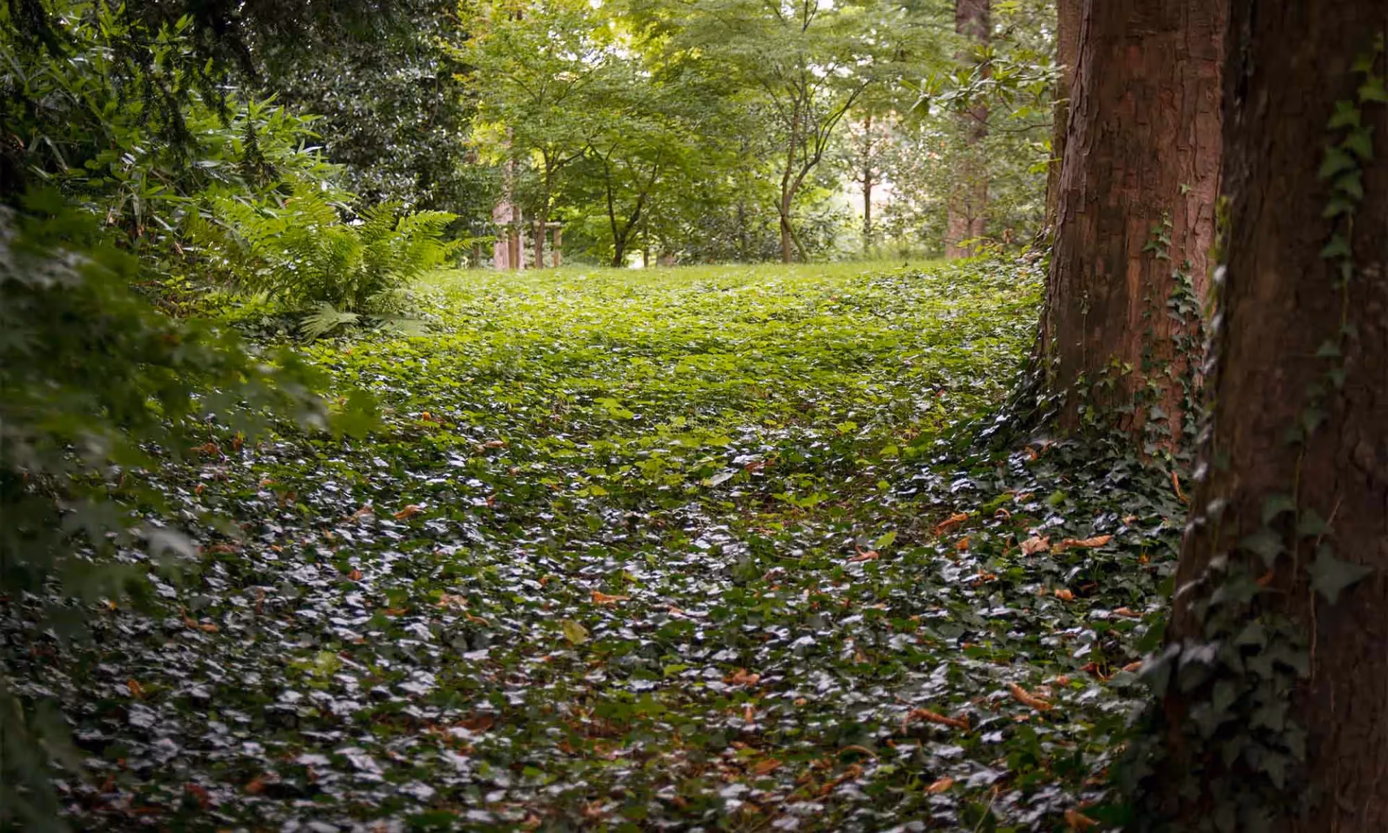 Tailored career pathways for the National Trust's project community.