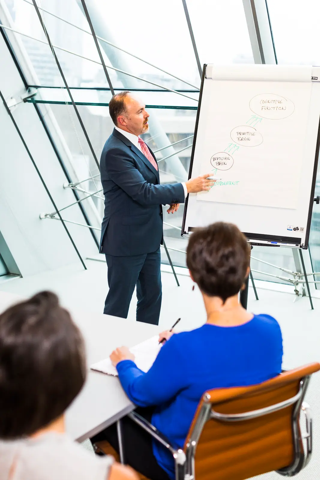 Man in a suit pointing to a flip chart with brain function diagram during a presentation to seated attendees in a modern office.
